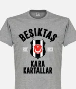 Besiktas Established T Shirt Grau (1)