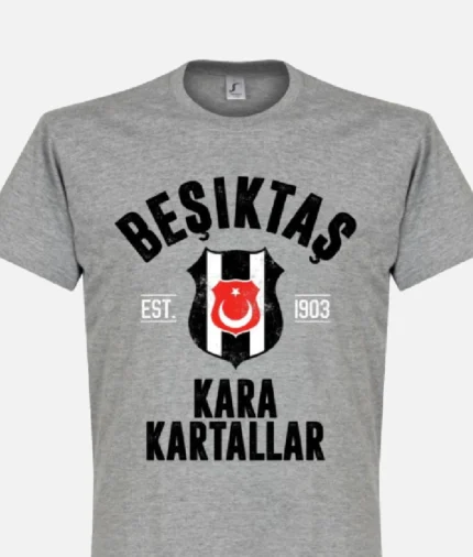 Besiktas Established T Shirt Grau (1)