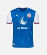 Hansa Rostock Home T Shirt 2023 24 (2)