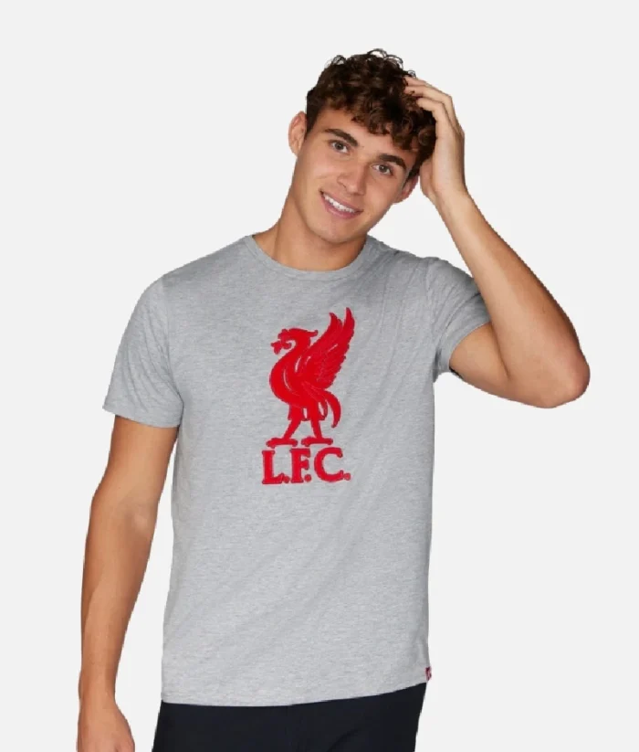 Liverpool Liverbird T Shirt Applikation Grau (1)